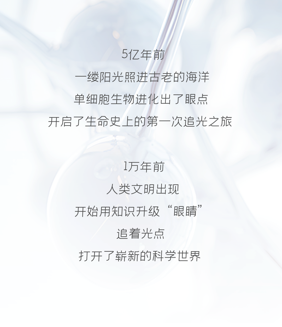 �ŵ�88(�й���)�ٷ���վ