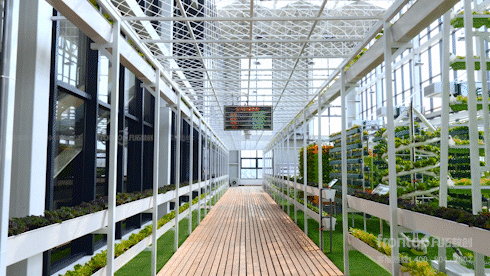 �ŵ�88(�й���)�ٷ���վ