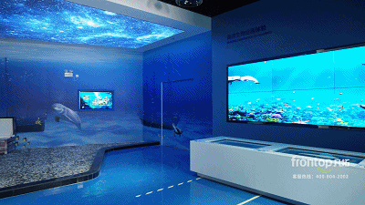 �ŵ�88(�й���)�ٷ���վ