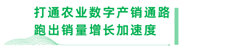 �ŵ�88(�й���)�ٷ���վ